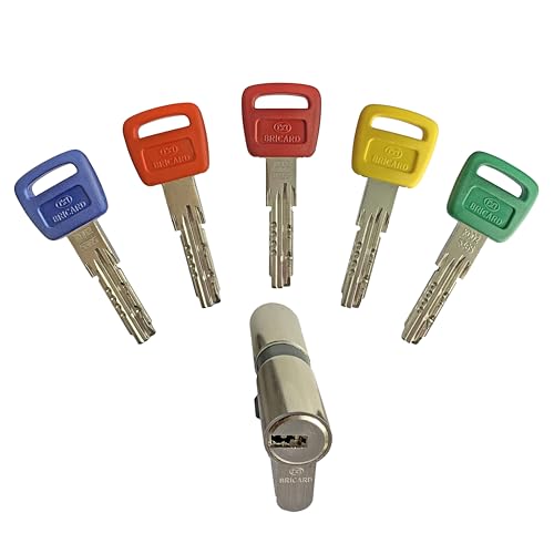 Bricard Cylindre Olympia 30+30 Débrayable. 5 Clés.