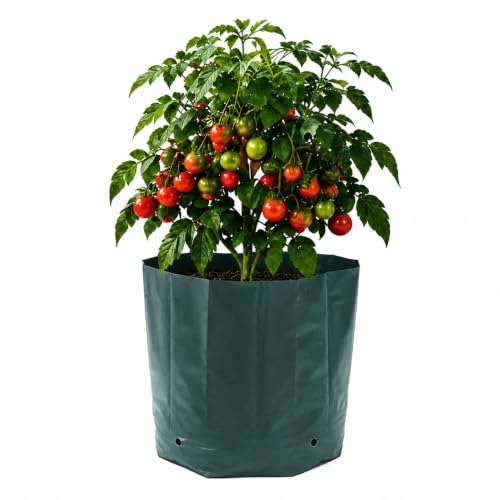 Image of Go Garden Grow Bags for Plants 12 x 12 Inch (Pack of 20) | UV Protected Plastic Nursery Grow Bags | Heavy Duty Black Poly Plant Bags