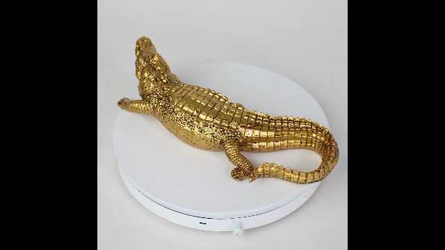 Amazon.com: HAUCOZE Crocodile Sculpture Statue Animal Figurine