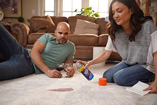 spot shot 9869 instant carpet stain remover aerosol 14 oz