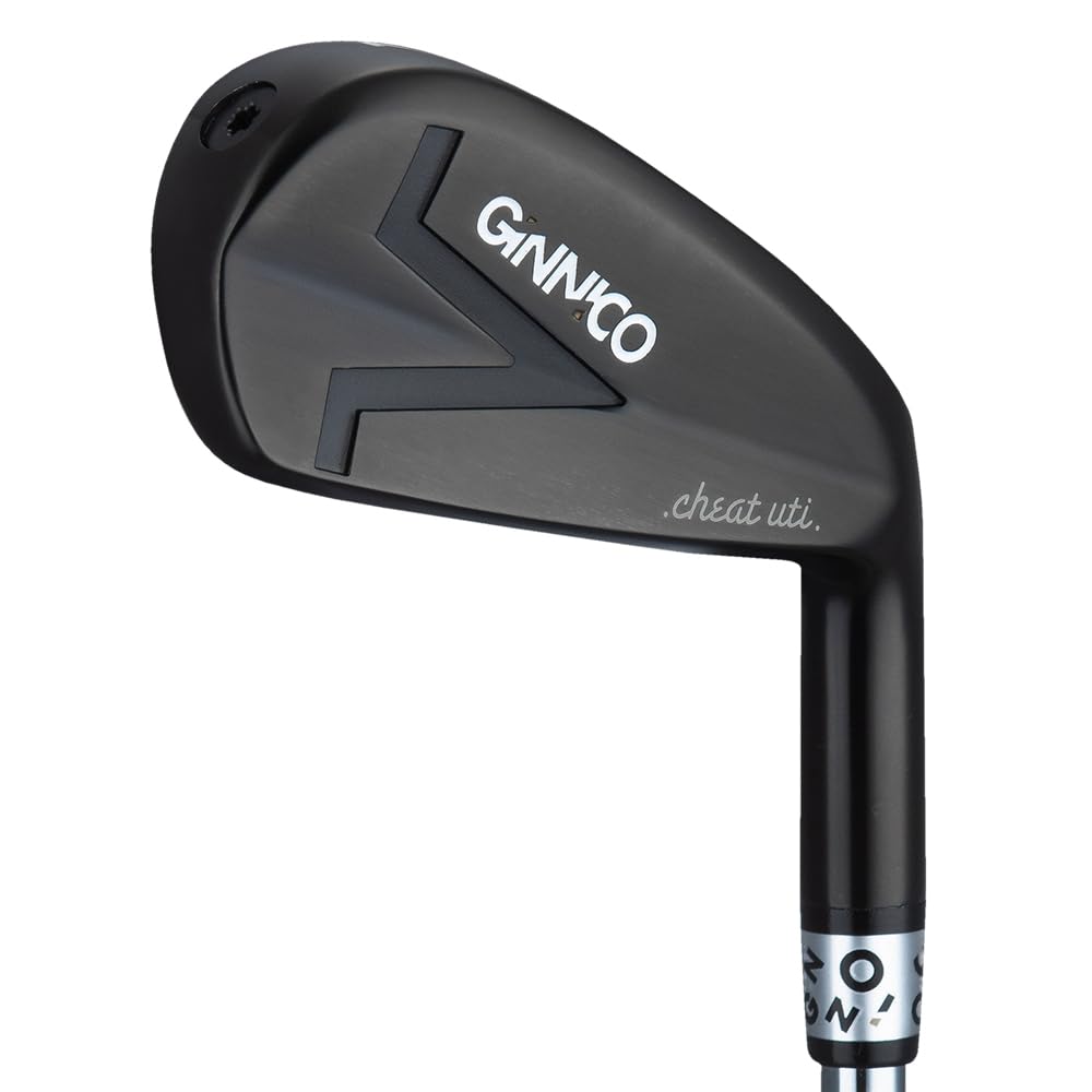 Amazon.co.jp: GINNICO ジニコアイアン型ユーティリティ ブラックIP  