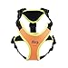 Julius-K9, 19MTR-for-M-AMZ, Mantrailing & Outdoor Hundegeschirr, Größe: M, UV orange mit neon Rand