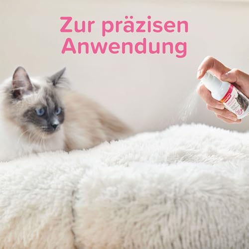 Beaphar CatComfort® Wohlfühl-Spray, 30ml