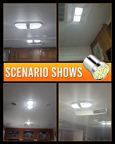 Luyed 5 X 280Lumens 1156 3014 24-Ex Chipsets 1156 1141 1003 7506 Led Bulbs Used For Rv Camper,Xenon White(Provide Adequate Illumination For One Side Irradiation) #TOP2