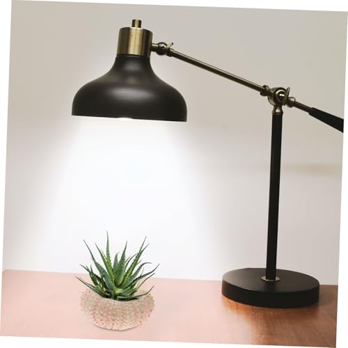 Homoyoyo 10 Pièces Coquilles D'Oursin Naturelles Décoration Maison Ornements À Suspendre Et Pots Plantes Aériennes Accessoires Artisanat Thème Mer – vue 5