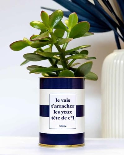 Plante Facile à Entretenir - Je Vais t'arracher Les Yeux tête de Cul