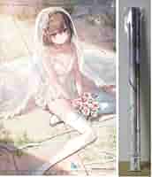 聖剣学院の魔剣使い   特典  タペストリー 聖剣学院の魔剣使い 16 メロンブックス 限定版 有償特典 A3