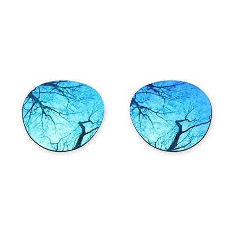 Verres polarisés ToughAsNails pour Bose Rondo S/M Cover
