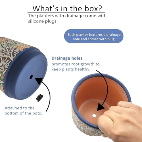 DeeCoo 3 Piece Ceramic Plant pots Indoor Pots Set with Drainage Holes, 5.7/4.7/3.5/inch, Modern Decorative pots Outdoor Plants Lilies, Cacti, Succulents, Snakes, and Bamboo (Blue)