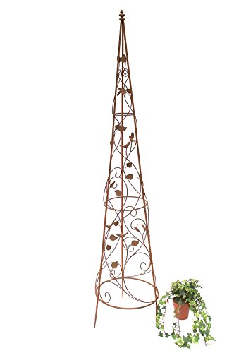 DanDiBo Support pour Plantes grimpantes Pyramide 082547 en métal 95cmà 164cm Support pour Plantes grimpantes Espalier Liane (XL - 164 cm)