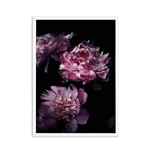 Posters et gravures toile fleur pivoine noir rose 50x70cm art mural peinture décoration maison