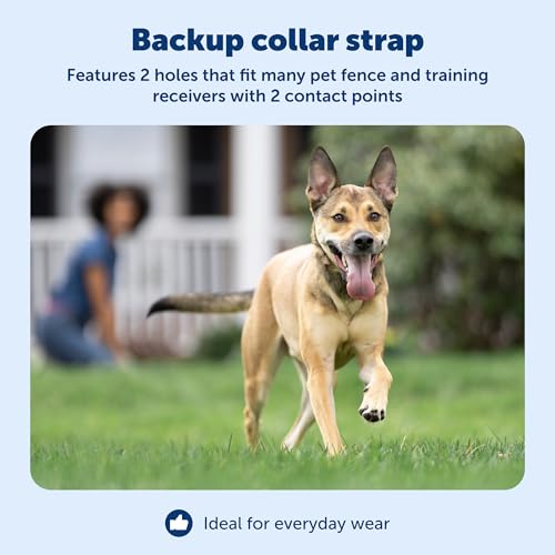 PetSafe 1 Inch Replacement Collar Strap with 2 Holes, Red - image 3