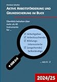 Aktive Arbeitsförderung und Grundsicherung im Blick (Begleitmaterialien zur JCT-Seminarreihe)