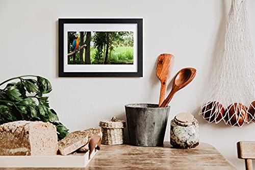 Affiche avec cadre pour mur vide Tulup image murale Parrot Tree - 2