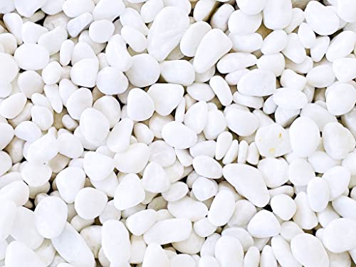 B-SzCg ʍiji15`25mmj20kg ʍ/ʍ/ꍻ