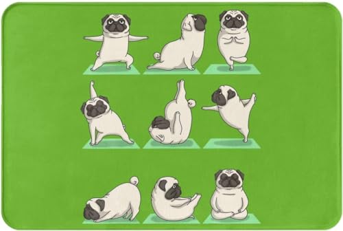 �ʔ��� �p�O ���� �J�[�y�b�g �����` ���O�}�b�g ���փ}�b�g ���O �O�~ �l�G�ʗp �h�_�j �R�� �h�L �􂦂� �ӂ�ӂ픧�G�� ����~�߃z�b�g�J�[�y�b�g �ې�OK �A�j�� �l�C �v���[���g 40×60cm BV187