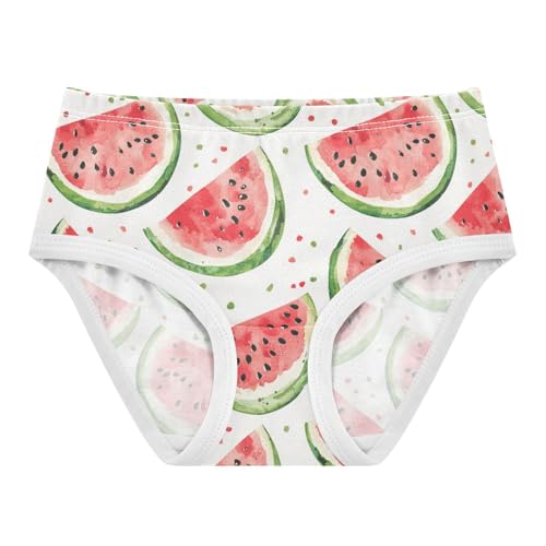 ZZKKO Watercolor Watermelon Girls Underwear Toddler Panties for Girls Comfort Brief Size 2-8T