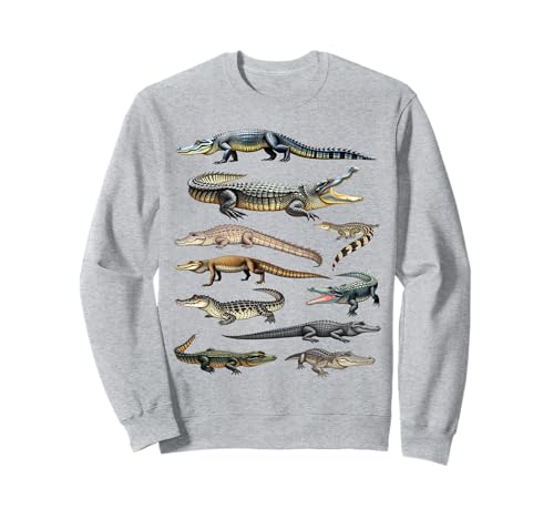 Tipos de cocodrilos Herpetología educativa Especies de reptiles Sudadera