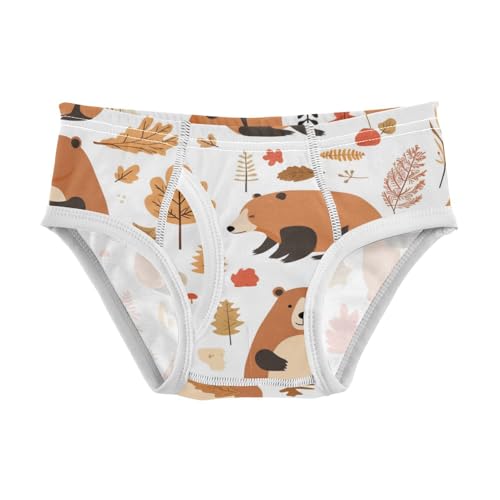 KLL Celebrate Holiday Canada Day Beavers Elements Little Boys Pure Cotton Underwear Briefs Cute Undies
