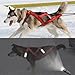 IIJIJO Dog Sledding Harness,Waterproof Reflective Pet Sledding Skijoring Harness Big Large Dogs Weight Pulling Vest for Pet Training(Red,XXL)(Red,Medium)