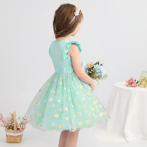 Toddler Baby Girls Tutu Tulle Dress Ruffled Sleeve Print Mesh Party Princess Dresses Summer Clothes 2-7T3