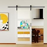 SOLRIG 3-Lite Mirrored Barn Door