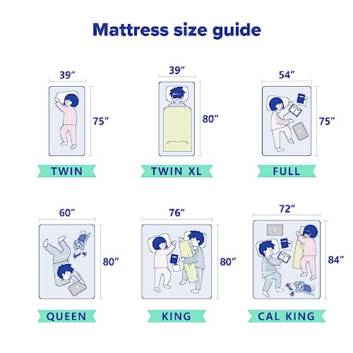 Olee Sleep 10 Inch Plush Cloud Hybrid Queen Mattress