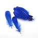 Sowder Natural Goose Feathers Clothing Accessories Pack of 100(Royal Blue)