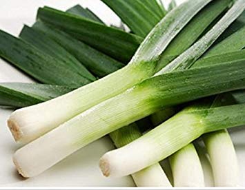 vegherb 200 Semi di Porro Bandit