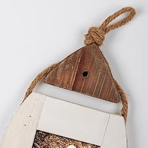 Primitives by Kathy Wall Frame Fish