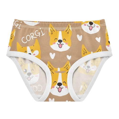 Florals Girls Underwear Toddlers 2t Cotton Girl Panties Cute Cute Corgi Dog Expressions Undies Kids Briefs