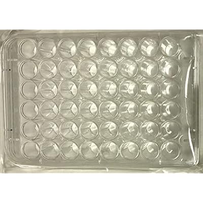 48 Well Treated Sterile Flat Tissue Culture Plate (50/Case)