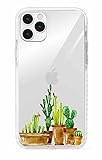 Shark Translucent Cactus Edition Clear back for (Iphone 6-Cactus02)
