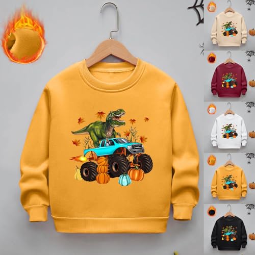 Boys Girls Fleece Casual Crewneck Sweatshirt Long Sleeve Loose Pullover T-Shirt Kids Cute Graphic Tee Tops for 2-12 Years2