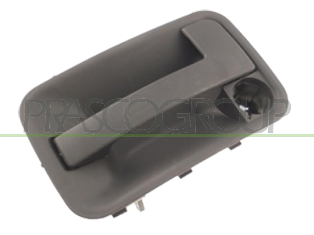 Prasco Türgriff Ft9218102 Links Für Peugeot