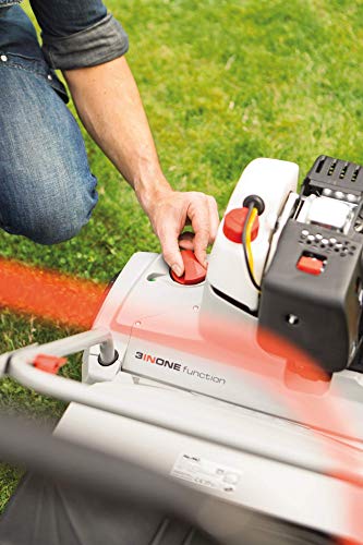 AL-KO Benzin Vertikutierer - 2