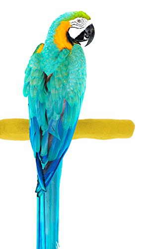 Sweet Feet and Beak Comfort Grip Safety Bird Pumice Perch - Patented Bird