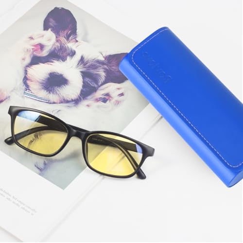 Image of RayLove Hard Shell Glasses Case, Lightweight Leather Eyeglass Case, Travel-Friendly Sunglasses Protector for Men & Women