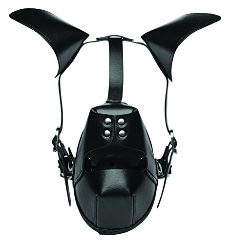 Master Series Pup Puppy Play Hood And Breathable Ball Gag, 0.67 Pound, Black #TOP1