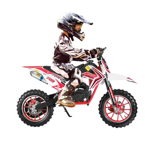 49cc 2 Stroke Pocket Motorcycle,Mini Gas Powered Bike for Kids with Strong Dual Brake,Pocket Motorcycle Max Speed 20 Mph,Mini Motorcycle Max Weight 170 lB (Black & Red)