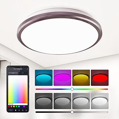 Ocioc OSK300-24W-K-BZ-S1 12Inch Smart Ceiling Light Flush Mount Led cover