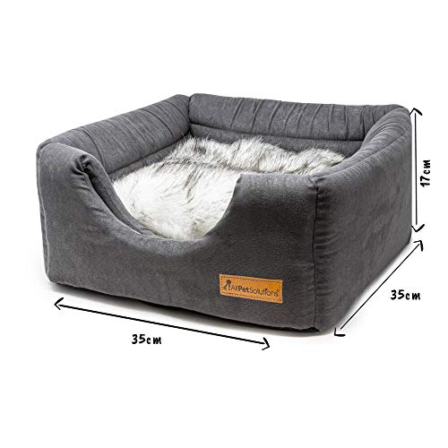 3 Best Igloo Dog Beds UK [Top Picks for Small & Large Breeds]
