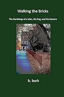 Walking the Bricks 1936711419 Book Cover