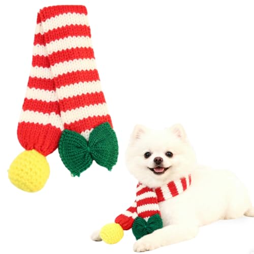 㖜̉]ybgp NX}X RX`[ Zbg  L }t[ lbNEH[}[ ru Xq  jbg  p[eB[ ObY (A, L)