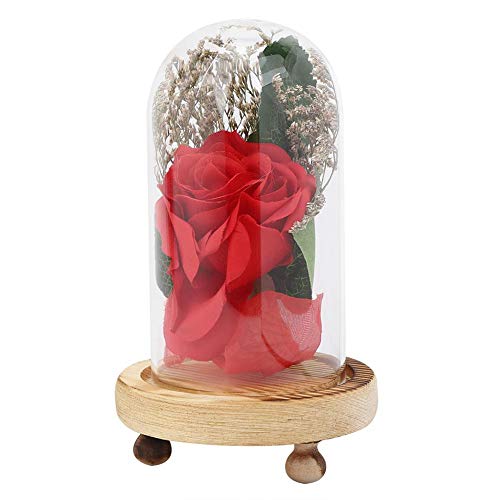Decoración Rosa Artificial, Elegante simulación de Cubierta de Vidrio Decoración de Flores secas para Adorno Día de San Valentín Día de la Madre (3.5 x 6.3 in) Cover