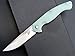 Eafengrow EF953 Pocket Folding Knife G10 Handle D2 Blade,EDC Tool Knife for Outdoor Camping Hiking (Jade)