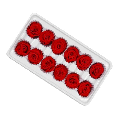 Milisten Ramo de Rosas Inmortales Rojas de 3-4 Cm, 12 Unidades por Caja, Flores Preservadas para Decoración de Bodas y San Valentín, Accesorio para Ramo DIY y Decoración Festiva