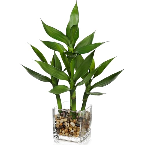 GnFlus Artificial Lucky Bamboo Plant 17.3 Fake Plant in Rectangular Glass Pot for Centerpiece Table...
