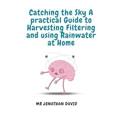 Catching the Sky Audiolibro Por Mr Jonathan David arte de portada