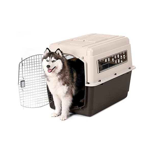 Petmate Ultra Vari Dog Kennel for Medium to Large Dogs (Durable, Heavy